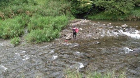 大井川(大井川(非)漁業協同組合) 釣果