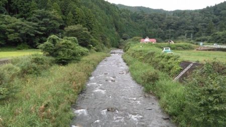 大井川(大井川(非)漁業協同組合) 釣果