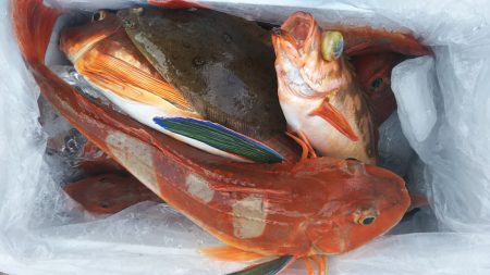 モンロー号 釣果