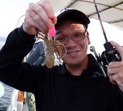 遊漁船 幸友丸 釣果