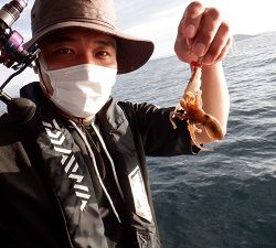 遊漁船 幸友丸 釣果