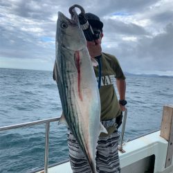 マタウマリンサービス 釣果