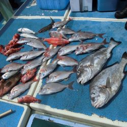 十八宝洋丸 釣果