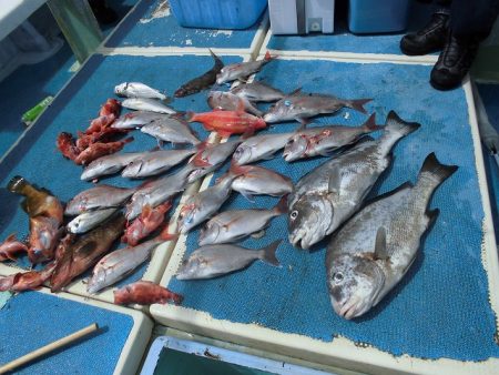 十八宝洋丸 釣果