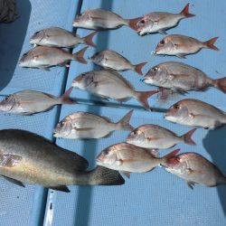 十八宝洋丸 釣果