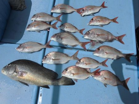 十八宝洋丸 釣果