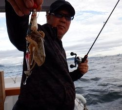 遊漁船 幸友丸 釣果