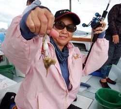 遊漁船 幸友丸 釣果