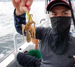 遊漁船 幸友丸 釣果