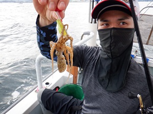 遊漁船 幸友丸 釣果