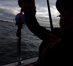 遊漁船 幸友丸 釣果