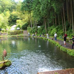 小菅トラウトガーデン 釣果