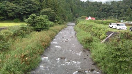 大井川(大井川(非)漁業協同組合) 釣果