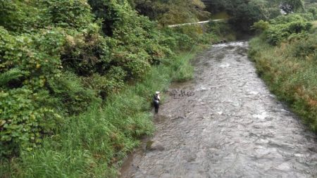 大井川(大井川(非)漁業協同組合) 釣果