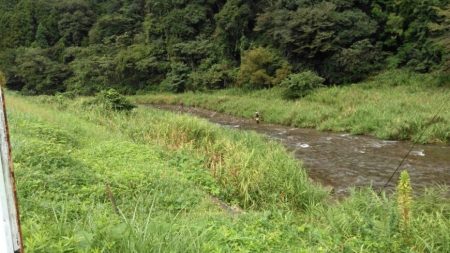 大井川(大井川(非)漁業協同組合) 釣果