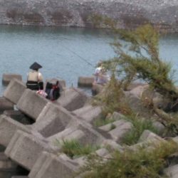 大井川(大井川(非)漁業協同組合) 釣果