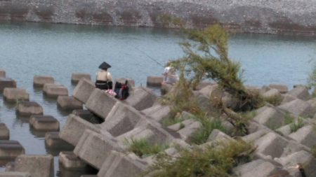 大井川(大井川(非)漁業協同組合) 釣果