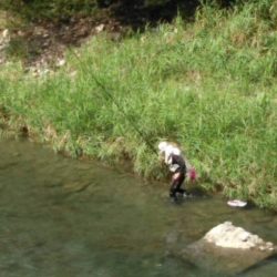 大井川(大井川(非)漁業協同組合) 釣果