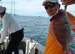 愛裕南丸 釣果