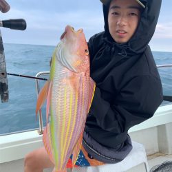 マタウマリンサービス 釣果