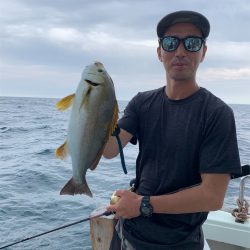 マタウマリンサービス 釣果