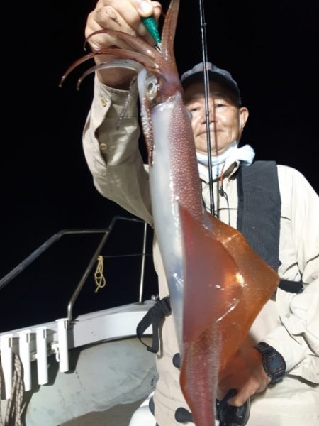 飛燕さくら丸 釣果