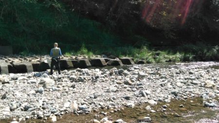 大井川(大井川(非)漁業協同組合) 釣果