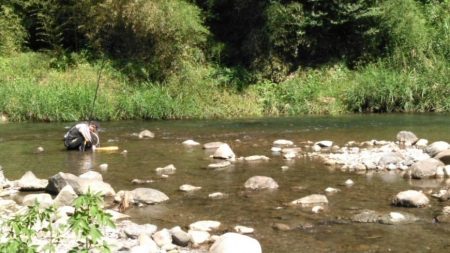 大井川(大井川(非)漁業協同組合) 釣果