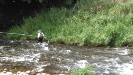 大井川（大井川(非)漁業協同組合） 釣果