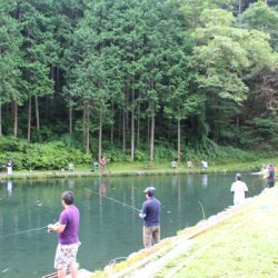 小菅トラウトガーデン 釣果