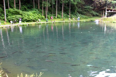 小菅トラウトガーデン 釣果
