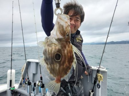 ブルーピア 釣果