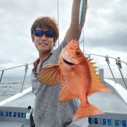 ブルーピア 釣果