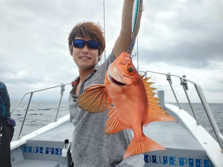 ブルーピア 釣果