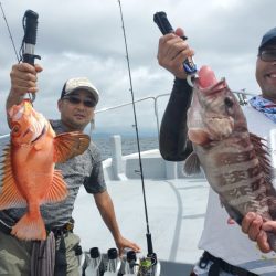 ブルーピア 釣果