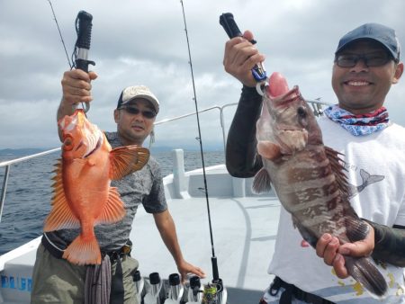 ブルーピア 釣果