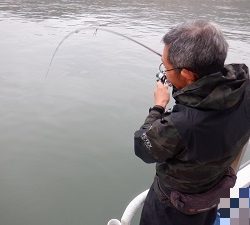 遊漁船 幸友丸 釣果