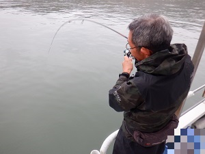 遊漁船 幸友丸 釣果