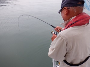 遊漁船 幸友丸 釣果