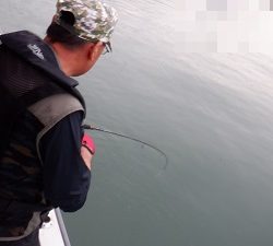 遊漁船 幸友丸 釣果