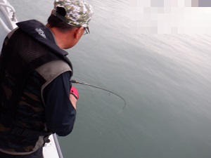 遊漁船 幸友丸 釣果