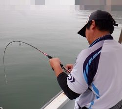 遊漁船 幸友丸 釣果