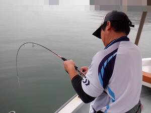 遊漁船 幸友丸 釣果