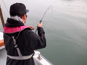 遊漁船 幸友丸 釣果