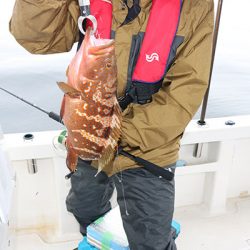 松本釣船２ 釣果