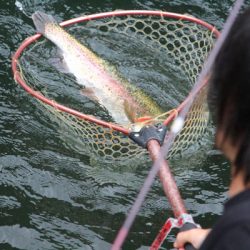 小菅トラウトガーデン 釣果