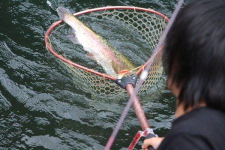 小菅トラウトガーデン 釣果
