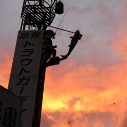 小菅トラウトガーデン 釣果