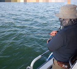 遊漁船 幸友丸 釣果