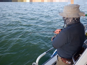 遊漁船 幸友丸 釣果